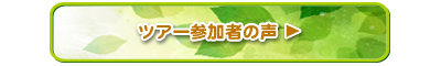 ツアー参加者の声
