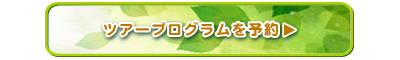 ツアープログラムを予約