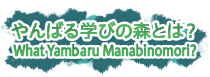 "学びの森"とは