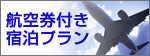 航空券付きプランの